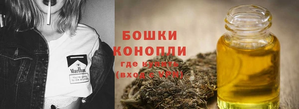 стаф Чердынь