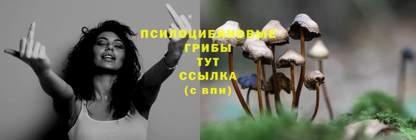 MESCALINE Нягань
