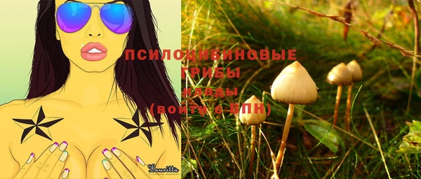 герыч Няндома