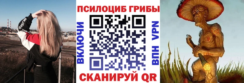 мега ТОР  цены наркотик  это формула  Галлюциногенные грибы прущие грибы  Краснообск 